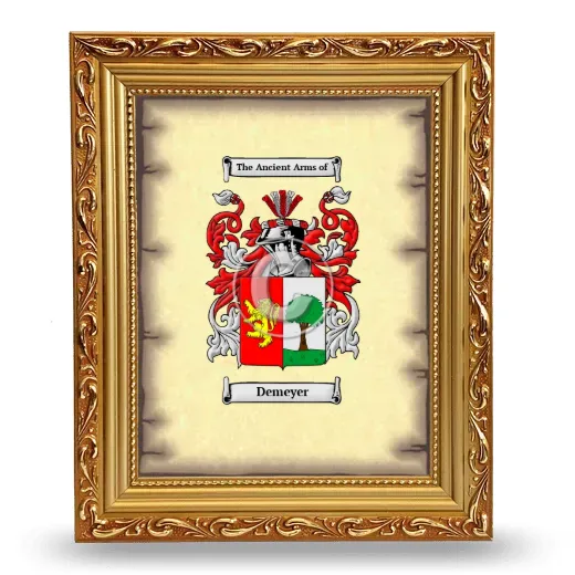 Demeyer Coat of Arms Framed - Gold