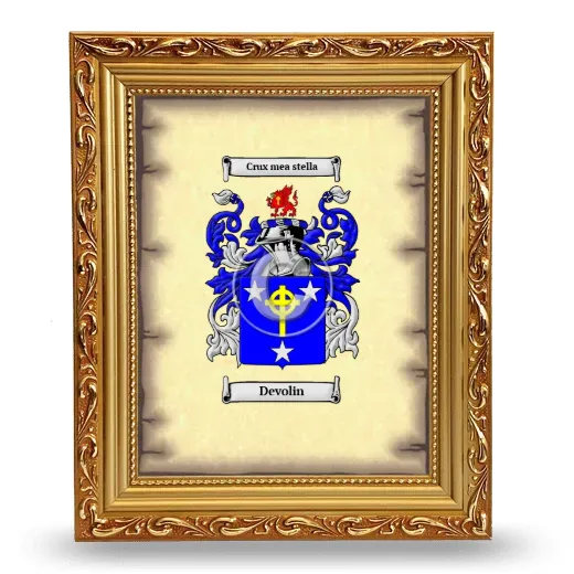 Devolin Coat of Arms Framed - Gold