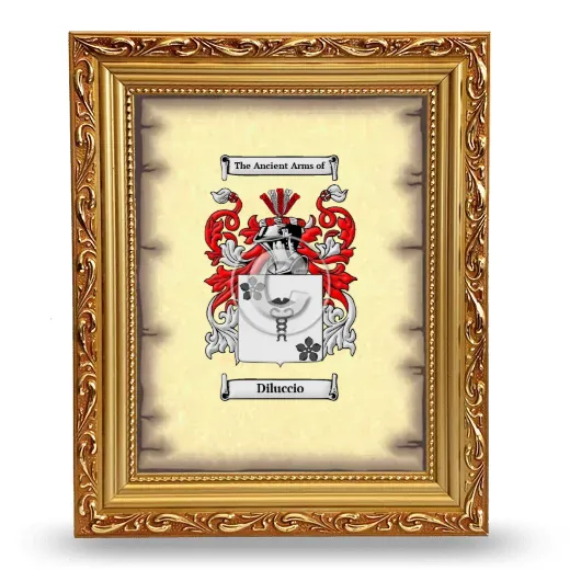 Diluccio Coat of Arms Framed - Gold