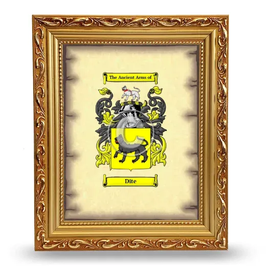 Dite Coat of Arms Framed - Gold