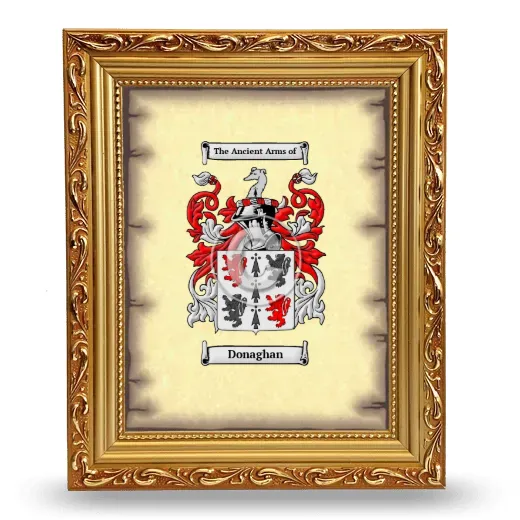 Donaghan Coat of Arms Framed - Gold
