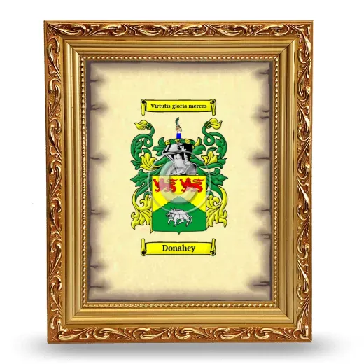 Donahey Coat of Arms Framed - Gold