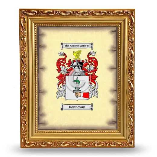 Donnovan Coat of Arms Framed - Gold