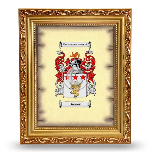 Droney Coat of Arms Framed - Gold