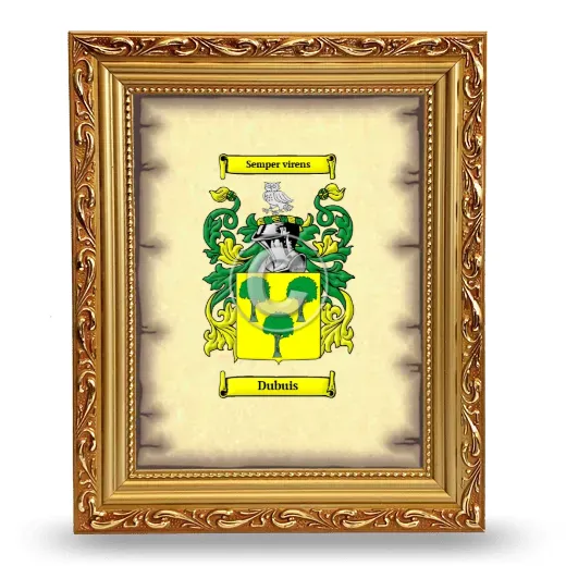 Dubuis Coat of Arms Framed - Gold
