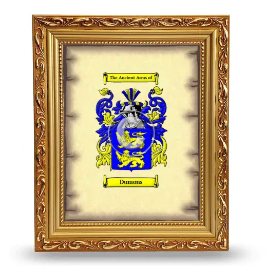 Dumons Coat of Arms Framed - Gold