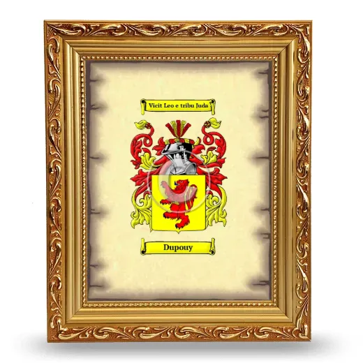 Dupouy Coat of Arms Framed - Gold