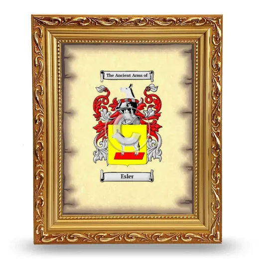 Esler Coat of Arms Framed - Gold