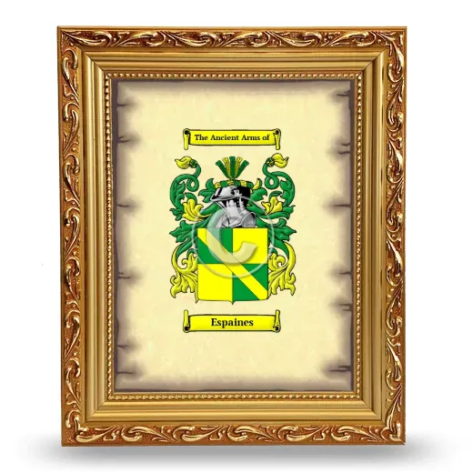 Espaines Coat of Arms Framed - Gold