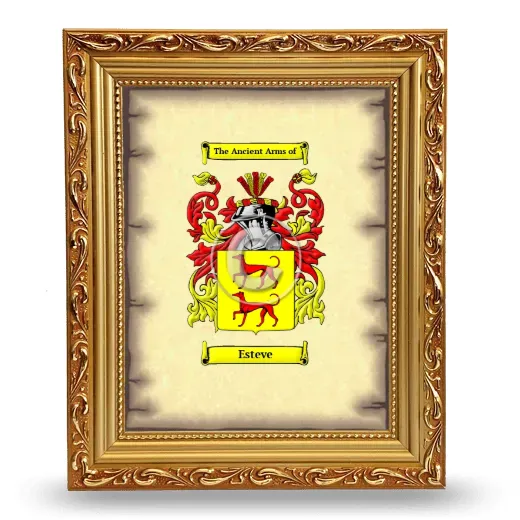 Esteve Coat of Arms Framed - Gold