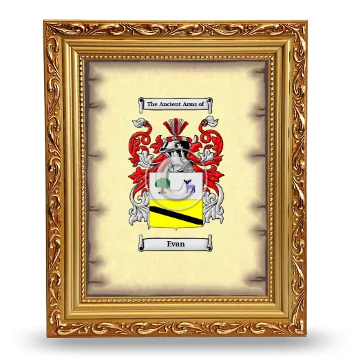 Evan Coat of Arms Framed - Gold