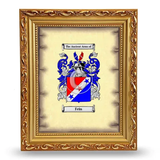 Fein Coat of Arms Framed - Gold