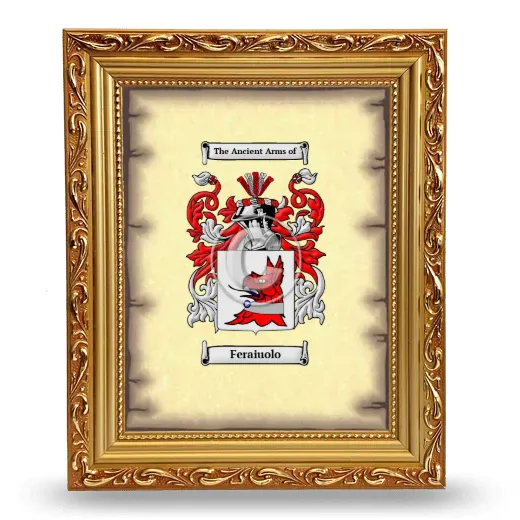 Feraiuolo Coat of Arms Framed - Gold