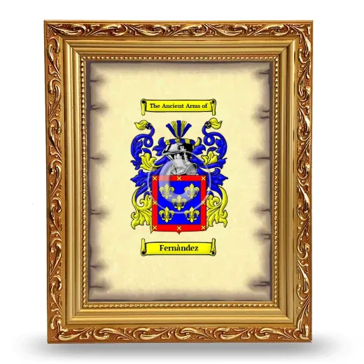 Fernàndez Coat of Arms Framed - Gold