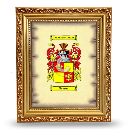 Feurer Coat of Arms Framed - Gold