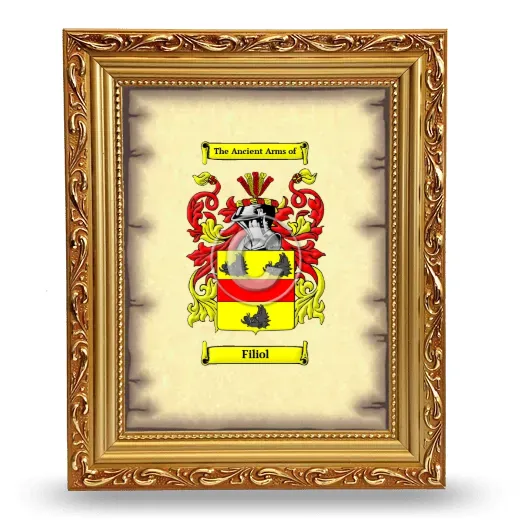 Filiol Coat of Arms Framed - Gold