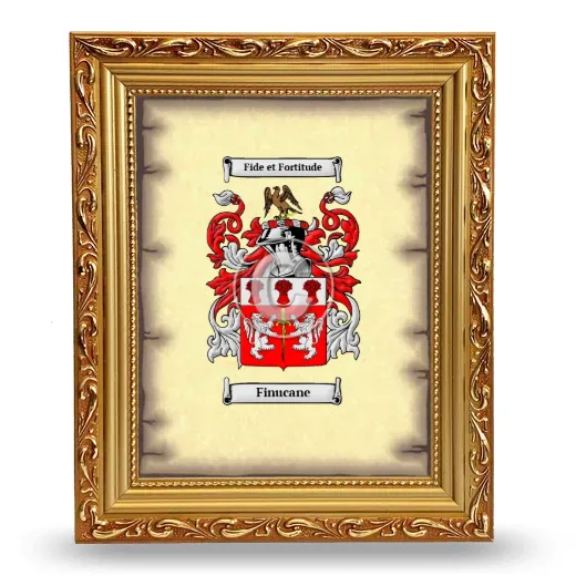 Finucane Coat of Arms Framed - Gold
