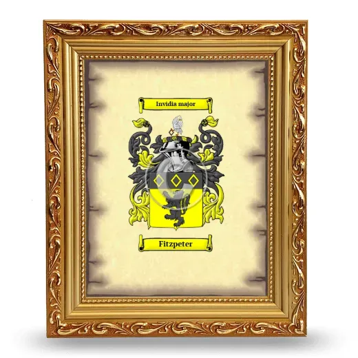 Fitzpeter Coat of Arms Framed - Gold