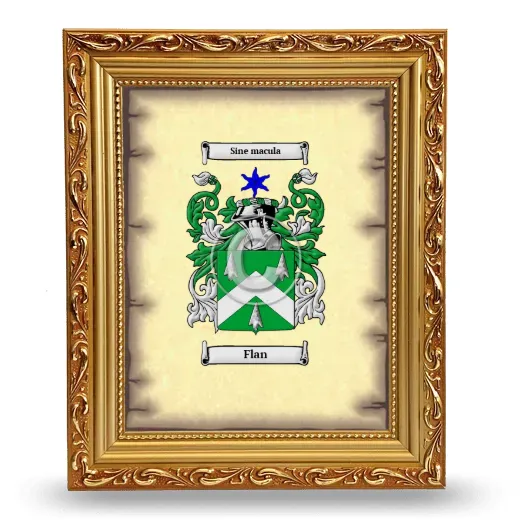 Flan Coat of Arms Framed - Gold