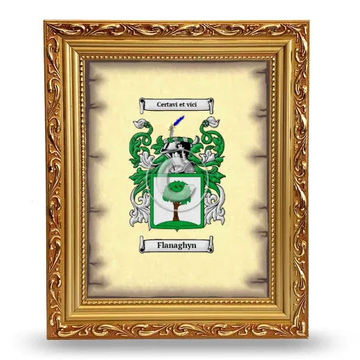 Flanaghyn Coat of Arms Framed - Gold