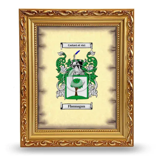 Flannagan Coat of Arms Framed - Gold