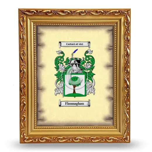 Flannaghan Coat of Arms Framed - Gold