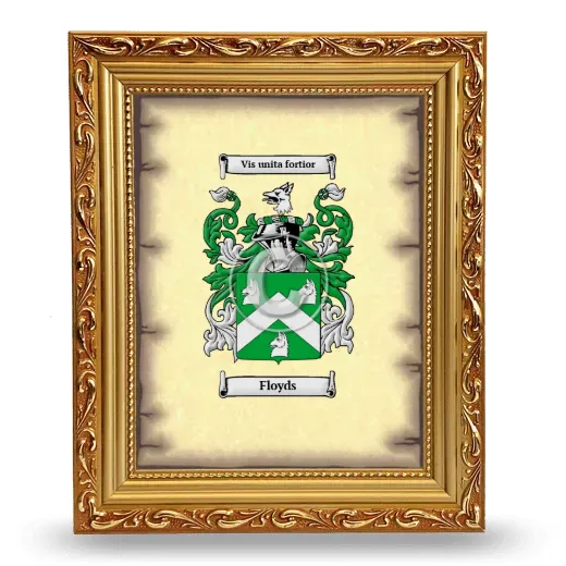 Floyds Coat of Arms Framed - Gold