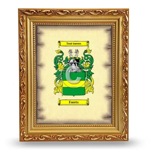 Forets Coat of Arms Framed - Gold