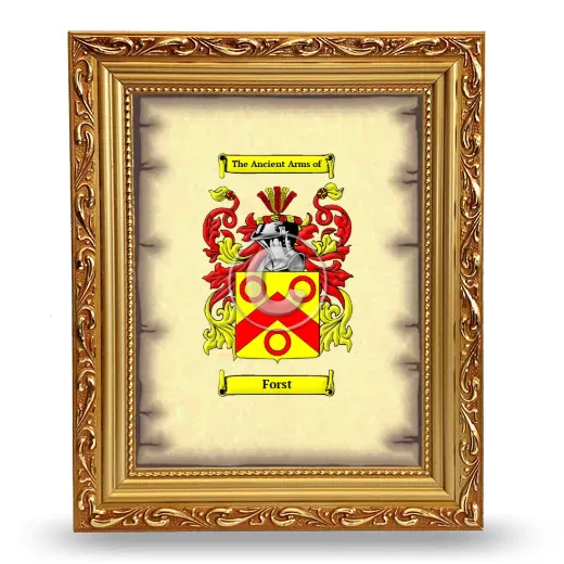 Forst Coat of Arms Framed - Gold