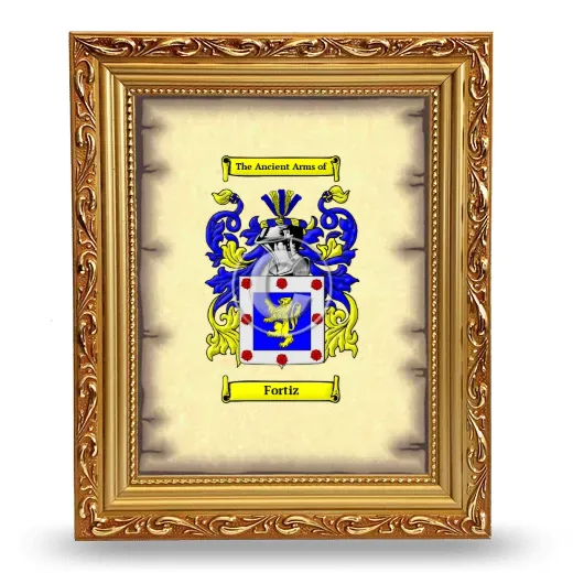 Fortiz Coat of Arms Framed - Gold
