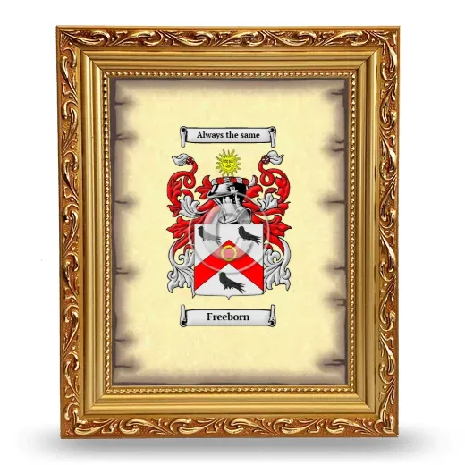 Freeborn Coat of Arms Framed - Gold