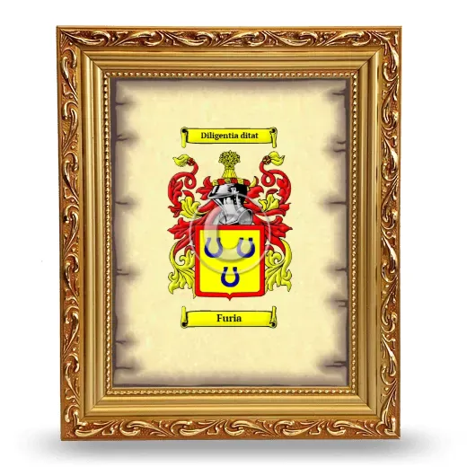 Furia Coat of Arms Framed - Gold