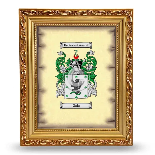 Gala Coat of Arms Framed - Gold