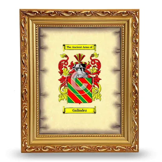 Galindez Coat of Arms Framed - Gold