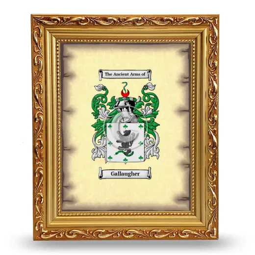 Gallaugher Coat of Arms Framed - Gold