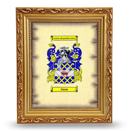 Gann Coat of Arms Framed - Gold