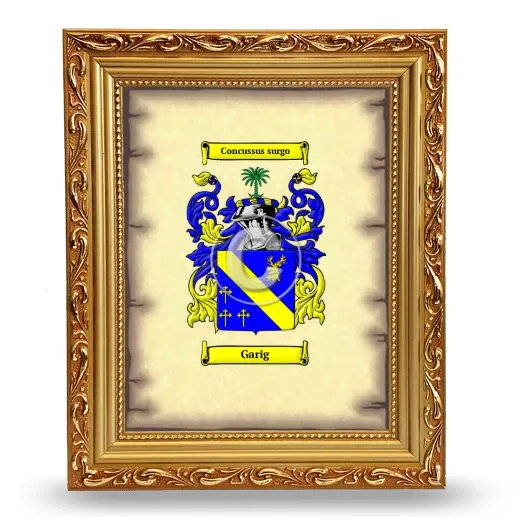 Garig Coat of Arms Framed - Gold