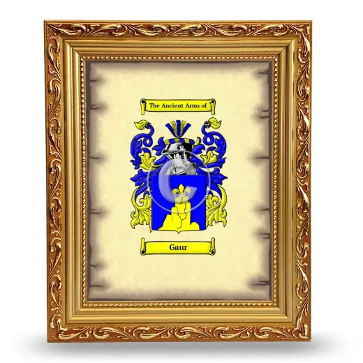 Gaur Coat of Arms Framed - Gold