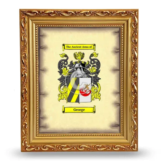 George Coat of Arms Framed - Gold