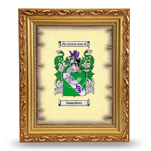 Goncalvez Coat of Arms Framed - Gold