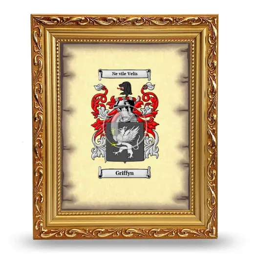 Griffyn Coat of Arms Framed - Gold