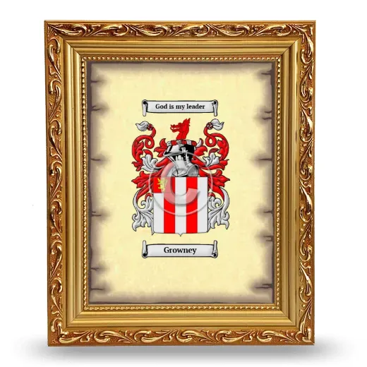 Growney Coat of Arms Framed - Gold