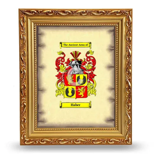 Haber Coat of Arms Framed - Gold