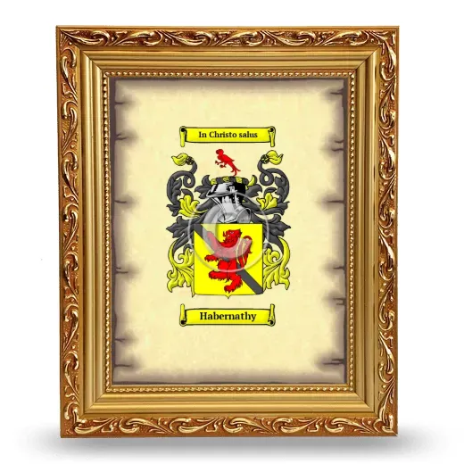 Habernathy Coat of Arms Framed - Gold