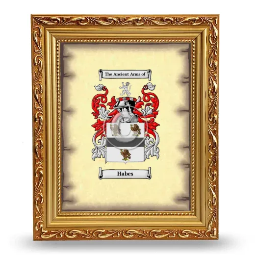 Habes Coat of Arms Framed - Gold
