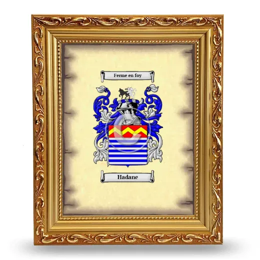 Hadane Coat of Arms Framed - Gold