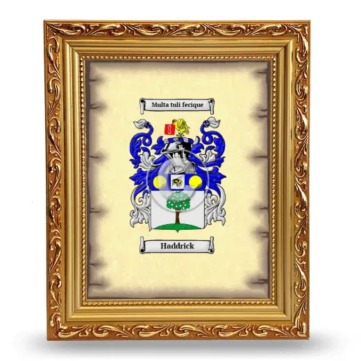 Haddrick Coat of Arms Framed - Gold