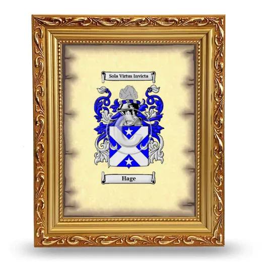 Hage Coat of Arms Framed - Gold