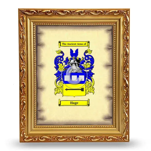 Hage Coat of Arms Framed - Gold