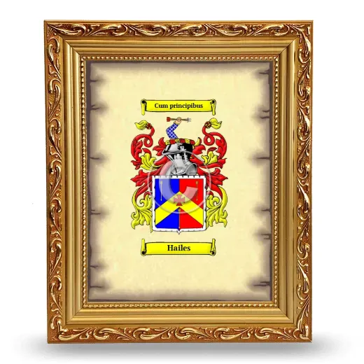 Hailes Coat of Arms Framed - Gold